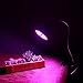 16W LED Grow Lights Bulbs for Indoor Plants,Dual-lamp-switch Growing Light with 360 Degree Flexible Gooseneck for Office Home Garden House Plant