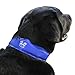 Arf Pets Dog Cooling Collar, 100% Non-Toxic Material, Relieves Heat Stress - Stays Cool for Hours