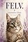 Livro Felv: O Guia Prático para Cuidar, Entender e Tratar a Leucemia Felina Sem Desespero (Colecao Doencas de gatos)