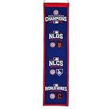 Chicago Cubs World Series 2016 Champions MLB 8