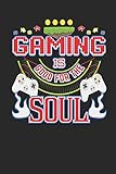 Journal: Gaming Is Good For The Soul by 