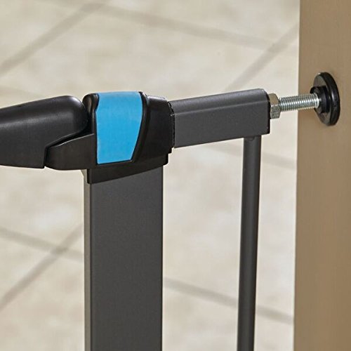 https://images-na.ssl-images-amazon.com/images/I/41URjltxM-L.jpg