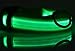 Liroyal Nylon LED Dog Night Safety Collar Flashing Light up W/circular Pendant Collar Green