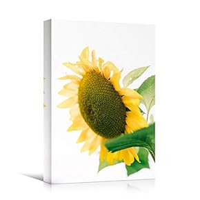 signwin Canvas Wall Art Yellow Flower Portraiture Colorful...