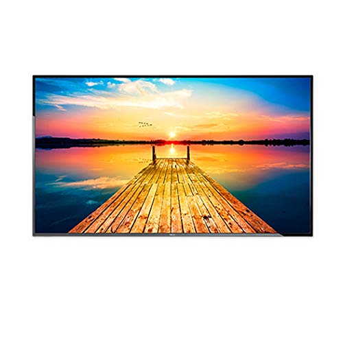 NEC E506 Nec, 50" Led Commercial Display with Atsc/Ntsc Tuner