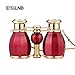 ESSLNB Opera Binoculars Glasses for Adults Women 4X30 Theater Binoculars Concerts Antique Compact Binoculars with Case Removable Chain
