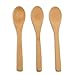 Bamboo Mini Spoon | Set of 3