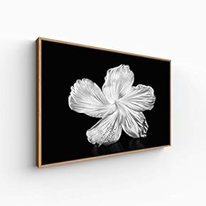 Canvas Wall Art for Living Room, Bedroom Monochrome Plants Framed Canvas Prints for Home Decoration Ready to Hang - 16x24 inches