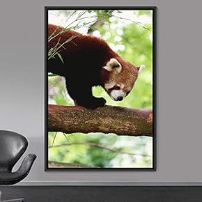 signwin Framed Canvas Wall Art Red Panda Animals...