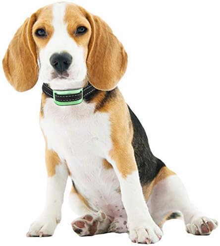 Humane Anti Bark Dog Collar for Small to Medium Dogs and Puppies with Battery