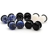 Set of 5 Pairs Single Flare Stone Plugs - Black Agate, White Jade, Snowflake Obsidian, Blue Lapis, Sodalite (6g (4mm))