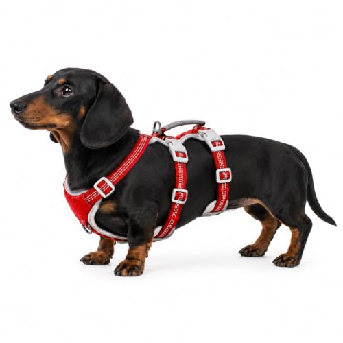 Huntboo dog harness red S