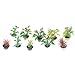 Acamifashion Miniature 1:12 Plant Bonsai Model Play Toys Garden Patio Decoration Random Pattern
