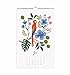 Rifle Paper Co 2017 Wall Calendar (Wall Calendar, Paradise Gardens)