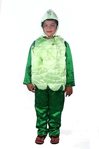 Shree Balaji Dress Big Boys' Cabbage Vegetable Child Fancy Dress