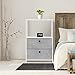Sorbus Nightstand 2-Drawer Shelf Storage - Bedside Furniture & End Table Chest Dresser with Steel Frame, Wood Top & Easy Pull Fabric Bins for Home, Bedroom, Closets, Bathroom, Office & College Dorm