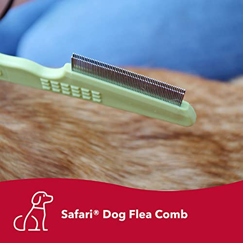 Coastal Pet Safari Dog Double Row Flea Comb Helps Dry Skin Dog Flea