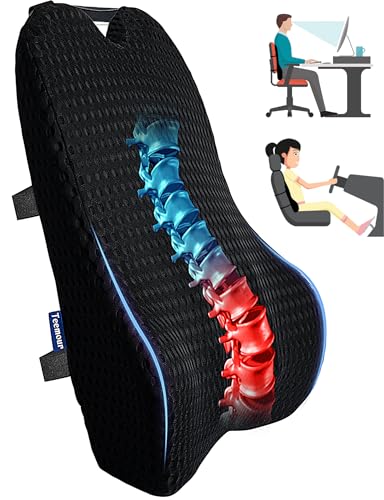 Teemour Lumbar Support Pillow for Car Office Chair, Reduces Back Pain Relief, Memory Foam, Adjustable Straps, Breathable Mesh Cover