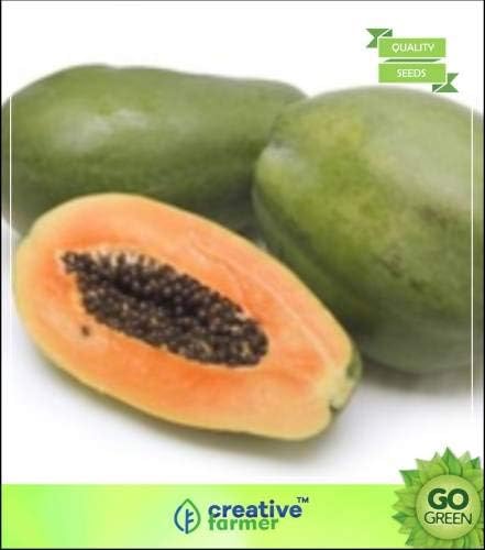 Pinkdose Papaya Seeds Red Lady Like Dwarf Gardening Fruit Seeds Seed