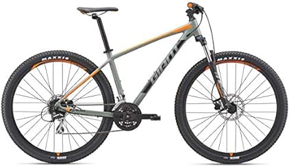 talon 29er 3 2019