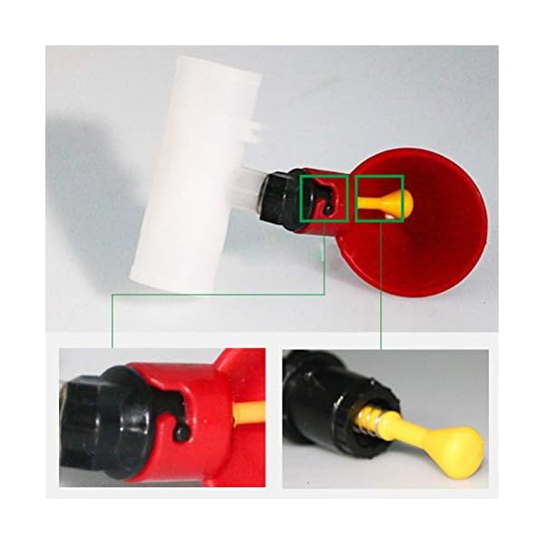 SEESEE.U Alimentatore Automatico di Pollo Waterer Pollame Capezzolo Bevitori di mangime Piccione Pollo Ciotola per Tubo…