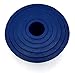 Soccerene Filter Adapter Cones Set, Buchner Funnel Flask Adapter Set, Tapered Collar Blue, Pack of 6