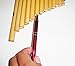 Easy to Play Beginner Peru Treasure Small Peruvian Tunable Antara Pan Flute 13 Pipes Case Included (Beige)