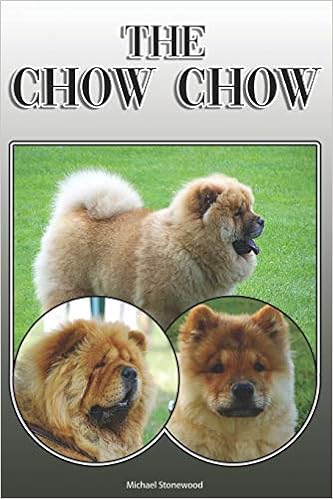 buy chow chow