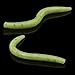 RUNCL ProBite Wacky Worms Senko Style, 10/15pcs Soft Stick Baits 4/5/6in - Fennel Flavor, Salt Impregnation, Ribbed Design, Proven Colors - Wacky Stick, Soft Fishing Lures (Multi 3, Multi1)