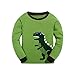Hugbug Boys Cute Dinosaur Cotton Long Sleeve Toddler Pajamas for Kid Boy  Green 2T