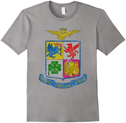 Mens Italian Air Force Aeronautica Militare emblem t-shirt XL Slate