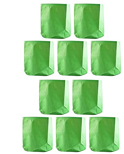 YUVAGREEN Terrace Gardening Leafy Vegetable Green Grow Bag (12