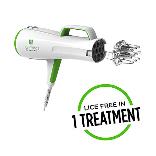 Head Lice Infestation 1 Top Best Head Lice Infestation