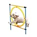 PAWISE Dog Agility Training Hoop, Outdoor Dog Agility Hurdle Toy Set