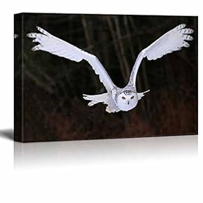 Canvas Prints Wall Art - A Flying Snowy Owl Animal/Bird Photograph | Modern Wall Decor/Home Decoration Stretched Gallery Canvas Wrap Giclee Print & Ready to Hang - 12" x 18"