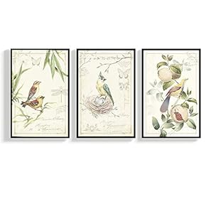 Floating Framed for Living Room Bedroom Vintage Bird...