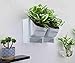 T4U Plastic Self Watering Vertical Living Wall Planter White, Stackble Wall Mounted for Indoor Outdoor Herb Vegetable Flower Plantthumb 3