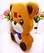 3D Cute Lovely Teddy Bear Soft Case Cover For Smart Mobile Phones (Samsung Galaxy Discover S730G S730M S740 R740C /Cricket Centura S738C)