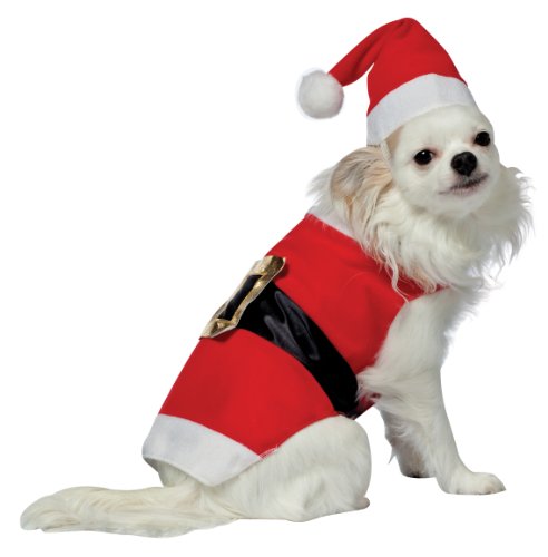 Rasta Imposta Santa Dog Costume