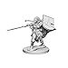Pathfinder: Deep Cuts Unpainted Miniatures: Human Female Paladin by WizKids