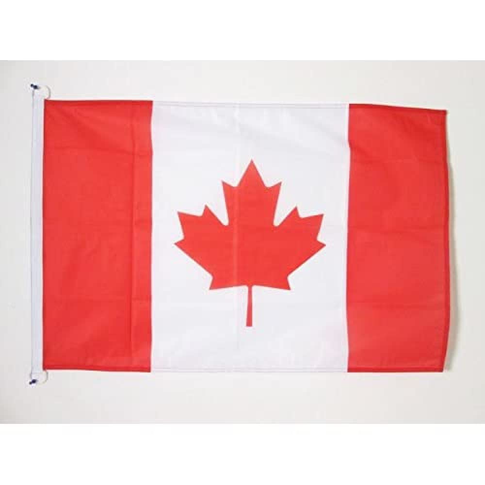 AZ FLAG - Canada Flag - 2x3 Ft - For Outdoor - Canadian Banner Knitted Polyester with Two Plastic Rings - Fade Resistant - Vivid Colors - 2' x 3' Feet - 90x60 Cm