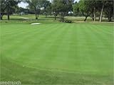 Penncross Bentgrass Seed - 2 Lbs.