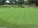 Penncross Bentgrass Seed - 2 Lbs.