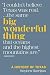 Big Wonderful Thing: A History of Texas (Texas Bookshelf) by Stephen Harrigan