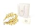 Greek Roman Goddess Gold Leaf Crown Headpiece – Bridal Wedding Headband