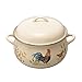 Paula Deen Enamel on Steel Stock Pot/Stockpot with Lid, 8 Quart, Garden Rooster