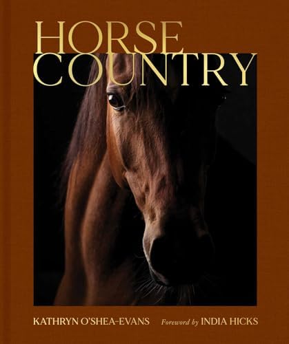 My Very Own Horse Book: Thompson, Cornelia: 9781570548451: Amazon