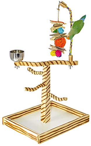 Birds LOVE Bird Play Gym Tabletop w Cup, Toy Hanger and Toy, Bengal TigerTail Stand – Small