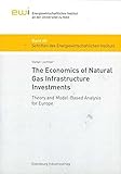 Image de The Economics of Natural Gas Infrastructure Investments