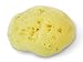 Fina Silk Sponge for Babies - Real Premium Natural Sea Sponge, 4